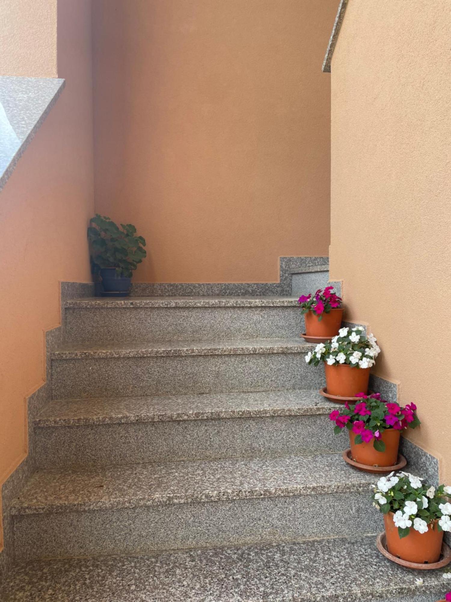 Apartments Dora Poreč Extérieur photo